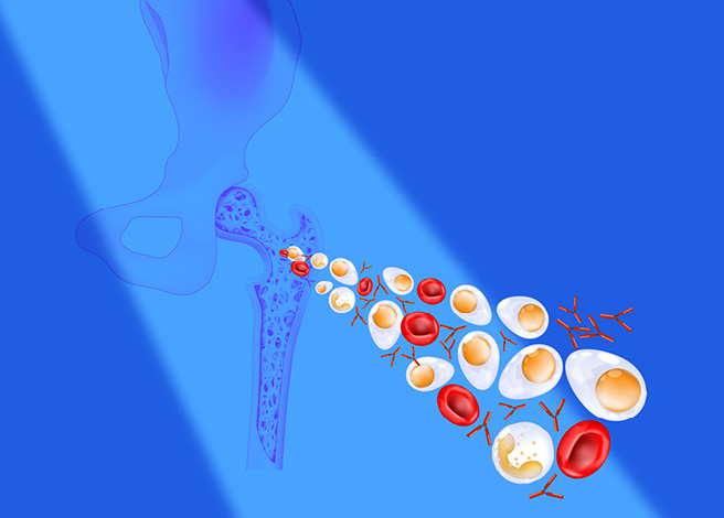 AdobeStock_566387027-656x370-1 4zevar/stock.adobe.com